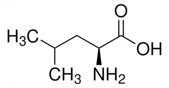 L-ЛЕЙЦИН (10Г) / L-LEUCINE