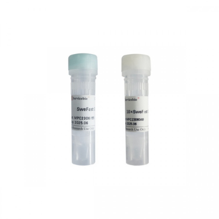 ЭНДОНУКЛЕАЗА РЕСТРИКЦИИ SWEFAST CUT KPNI, 100 РЕАКЦИЙ