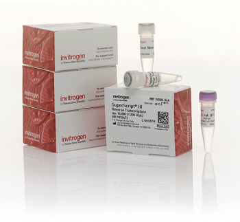 ОБРАТНАЯ ТРАНСКРИПТАЗА SUPERSCRIPT™ III, 4 X 10 000 Е.А., АРТ. 18080085, THERMO FISHER SCIENTIFIC