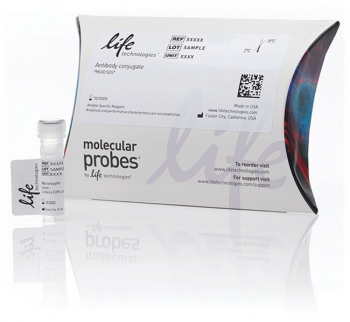 МОНОКЛОНАЛЬНЫЕ АНТИТЕЛА (МЫШЬ) К CD64 (10.1), FITC, 0,5 МЛ, АРТ. CD6401, INVITROGEN