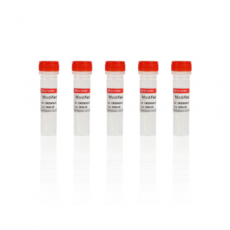 МОДИФИЦИРОВАННЫЙ КОАГУЛЯНТ, 5 X 1 МЛ