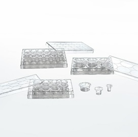 ВСТАВКА ДЛЯ 12-ЛУНОЧНОГО ПЛАНШЕТА, PET МЕМБРАНА, ДИАМЕТР ПОР 3 МКМ, 48 ШТ/УПАК (ДЛЯ ПРОВЕДЕНИЯ ИССЛЕДОВАНИЙ (ИСПЫТАНИЙ), В ТОМ ЧИСЛЕ В НАУЧНЫХ ЦЕЛЯХ), JETBIOFIL