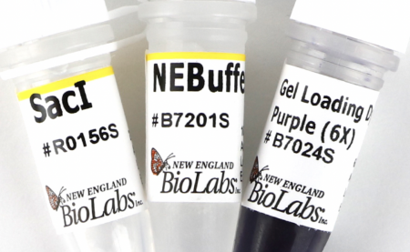 ДНК МОДИФИЦИРУЮЩИЙ ФЕРМЕНТ ЭНДОНУКЛЕАЗА РЕСТРИКЦИИ SACI-HF™ (20 000 Е.А./МЛ, 2 000 Е.А.), АРТ. R3156 S, NEW ENGLAND BIOLABS