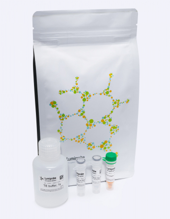 НАБОР QUDYE ДЛЯ ОПРЕДЕЛЕНИЯ КОЛИЧЕСТВА ОДНОЦЕПОЧЕЧНОЙ ДНК, 100 ASSAYS, 17102