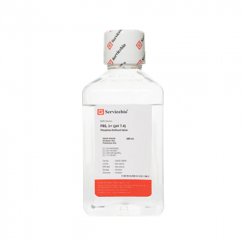 ФОСФАТНО-СОЛЕВОЙ БУФЕРНЫЙ РАСТВОР PBS, 500 МЛ, SERVICEBIO