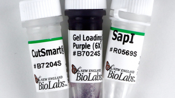 ЭНДОНУКЛЕАЗА РЕСТРИКЦИИ SAPI (10 000 Е.А./МЛ, 250 Е.А.), АРТ. R0569 S, NEW ENGLAND BIOLABS