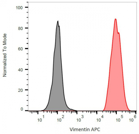 МОНОКЛОНАЛЬНЫЕ АНТИТЕЛА (МЫШЬ) К ВИМЕНТИНУ (VI-RE/1), APC, 100 МКГ, АРТ. MA5-28601,INVITROGEN