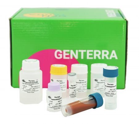 НАБОР ДЛЯ ВЫДЕЛЕНИЯ ГЕНОМНОЙ ДНК GENTA BLOOD&TISSUE GDNA, 50 ВЫДЕЛЕНИЙ