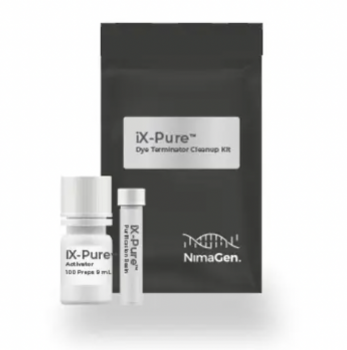 НАБОР ДЛЯ ОЧИСТКИ РЕАКЦИОННОЙ СМЕСИ IX-PURE DYETERMINATOR, 100 РЕАКЦИЙ, АРТ. IXP-100