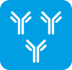 ПОЛИКЛОНАЛЬНЫЕ АНТИТЕЛА КОЗЫ К ИММУНОГЛОБУЛИНАМ ЧЕЛОВЕКА