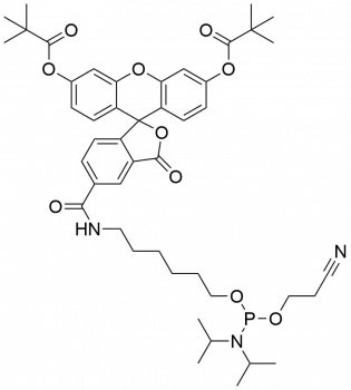 FAM ФОСФОРАМИДИТ, 5-ИЗОМЕР, 10 G, 2639-10G