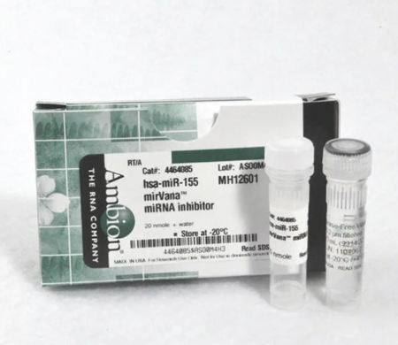ОТРИЦАТЕЛЬНЫЙ КОНТРОЛЬ #1 MIRVANA™ MIRNA INHIBITOR, 20 НМОЛЬ, АРТ. 4464077, INVITROGEN
