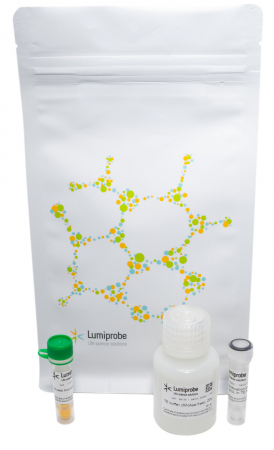 НАБОР RIBO488 ДЛЯ ОПРЕДЕЛЕНИЯ КОЛИЧЕСТВА РНК НА ПЛАНШЕТНЫХ РИДЕРАХ, 2000 ASSAYS, 21520