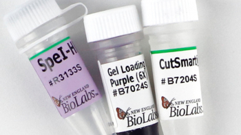 ДНК МОДИФИЦИРУЮЩИЙ ФЕРМЕНТ ЭНДОНУКЛЕАЗА РЕСТРИКЦИИ SPEI-HF™ (20 000 Е.А./МЛ, 500 Е.А.), АРТ. R3133 S, NEW ENGLAND BIOLABS