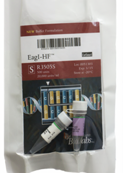 ДНК МОДИФИЦИРУЮЩИЙ ФЕРМЕНТ ЭНДОНУКЛЕАЗА РЕСТРИКЦИИ EAGI-HF™ (20 000 Е.А./МЛ, 500 Е.А.), АРТ. R3505 S, NEW ENGLAND BIOLABS