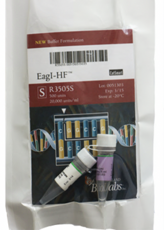 ДНК МОДИФИЦИРУЮЩИЙ ФЕРМЕНТ ЭНДОНУКЛЕАЗА РЕСТРИКЦИИ EAGI-HF™ (20 000 Е.А./МЛ, 500 Е.А.), АРТ. R3505 S, NEW ENGLAND BIOLABS