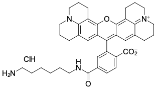 ROX-АМИН, 6-ИЗОМЕР, 1 MG, A22C0