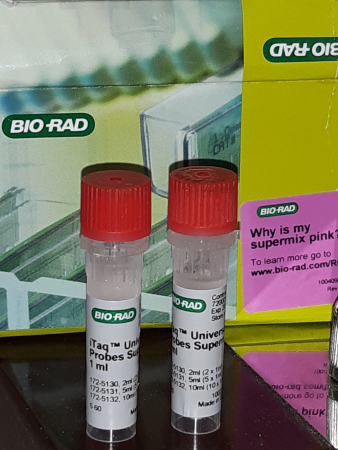 BIO-RAD СМЕСЬ ДЛЯ ПЦР ITAQ UNIVERSAL PROBES SUPERMIX, 1 ML VIAL