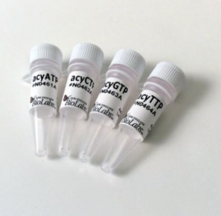 СМЕСЬ АЦИКЛОНУКЛЕОТИДОВ (АЦИКЛО-АТФ, АЦИКЛО-ЦТФ, АЦИКЛО-ГТФ И АЦИКЛО-ТТФ) (500 НМОЛЬ), АРТ. N0460 S, NEW ENGLAND BIOLABS