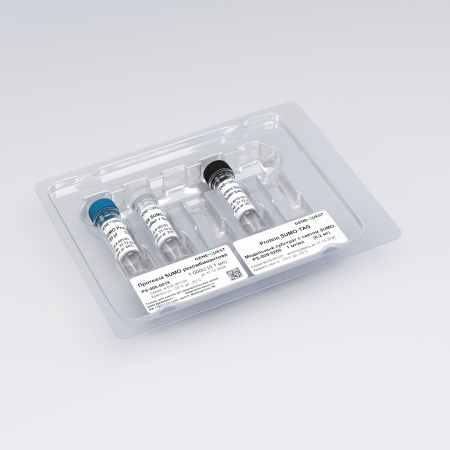 РЕКОМБИНАНТНАЯ SUMO ПРОТЕАЗА, 10 ЕД./МКЛ (1 000 ЕД.) С РЕАКЦИОННЫМ БУФЕРОМ