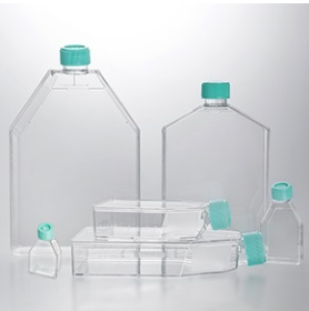 МАТРАСЫ ПЛАСТИКОВЫЕ ДЛЯ КУЛЬТИВИРОВАНИЯ КЛЕТОК (ФЛАКОНЫ), Т-182, ДЛЯ СУСПЕНЗИОННЫХ КУЛЬТУР, КРЫШКА С ФИЛЬТРОМ, 40 ШТ./УПАК, JETBIOFIL