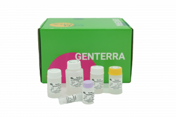 НАБОР ДЛЯ ВЫДЕЛЕНИЯ РНК GENTA RNA ISOLATION KIT СУММАРНОЙ РНК НА КОЛОНКАХ ИЗ КЛЕТОК И МЯГКИХ ТКАНЕЙ ЧЕЛОВЕКА И ЖИВОТНЫХ, БАКТЕРИЙ, ДРОЖЖЕЙ