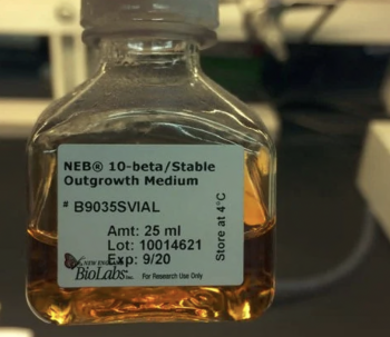 ПИТАТЕЛЬНАЯ СРЕДА NEB® 10-BETA/STABLE OUTGROWTH MEDIUM, АРТ.B9035 S, NEW ENGLAND BIOLABS
