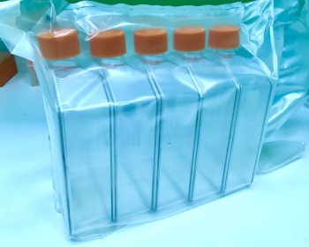 ФЛАКОНЫ КУЛЬТУРАЛЬНЫЕ 175 СМ2, ПРЯМОЕ ГОРЛО, ВЕНТ КРЫШ., ПОВ-ТЬ ТС (5 ШТ/УПАК), АРТ. 431080, CORNING