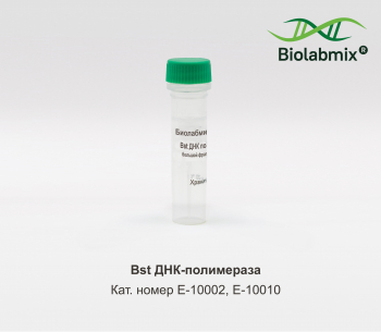 BST ДНК ПОЛИМЕРАЗА, БОЛЬШОЙ ФРАГМЕНТ, 2000 Е.А.