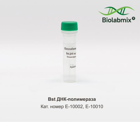 BST ДНК ПОЛИМЕРАЗА, БОЛЬШОЙ ФРАГМЕНТ, 2000 Е.А.