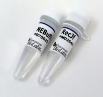 ДНК МОДИФИЦИРУЮЩИЙ ФЕРМЕНТ ЭКЗОНУКЛЕАЗА RECJF (30 000 Е.А./МЛ, 1 000 Е.А.), АРТ. M0264 S, NEW ENGLAND BIOLABS