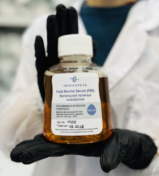 ОХАРАКТЕРИЗОВАННАЯ СТЕРИЛЬНАЯ ФИЛЬТРОВАННАЯ ФЕТАЛЬНАЯ ТЕЛЯЧЬЯ СЫВОРОТКА (FBS), АРТ. FBS-500, TECHNOZERG, 500 МЛ