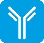 МОНОКЛОНАЛЬНЫЕ АНТИТЕЛА К ГЕМАГГЛЮТИНИНУ H1 ВИРУСА ГРИППА А