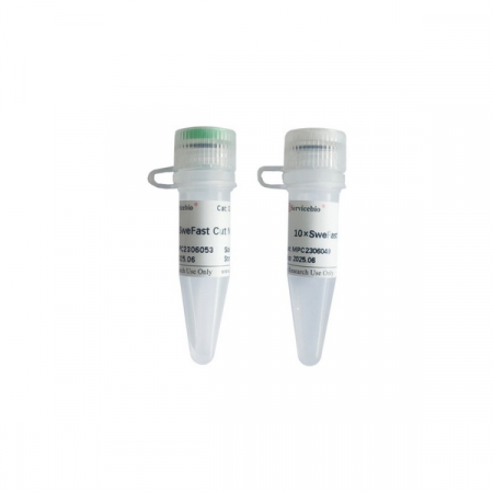 ЭНДОНУКЛЕАЗА РЕСТРИКЦИИ SWEFAST CUT NHEI, 100 РЕАКЦИЙ