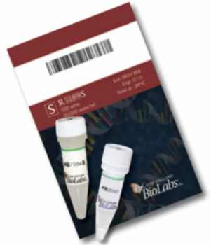 ДНК МОДИФИЦИРУЮЩИЙ ФЕРМЕНТ ЭНДОНУКЛЕАЗА РЕСТРИКЦИИ RSRII, РЕКОМБИНАНТНАЯ (5 000 Е.А./МЛ, 2 500 Е.А.), АРТ. R0501 L, NEW ENGLAND BIOLABS