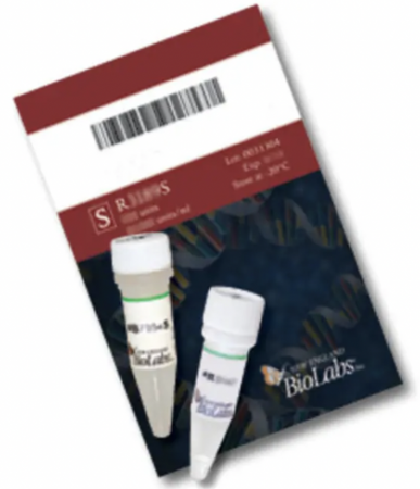 ДНК МОДИФИЦИРУЮЩИЙ ФЕРМЕНТ ЭНДОНУКЛЕАЗА РЕСТРИКЦИИ RSRII, РЕКОМБИНАНТНАЯ (5 000 Е.А./МЛ, 2 500 Е.А.), АРТ. R0501 L, NEW ENGLAND BIOLABS