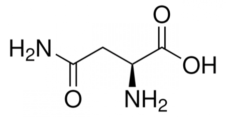 L-АСПАРАГИН (10Г) /L-ASPARAGINE