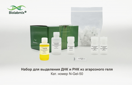 НАБОР N-GEL ДЛЯ ВЫДЕЛЕНИЯ ДНК И РНК ИЗ АГАРОЗНОГО ГЕЛЯ, 50 РЕАКЦИЙ
