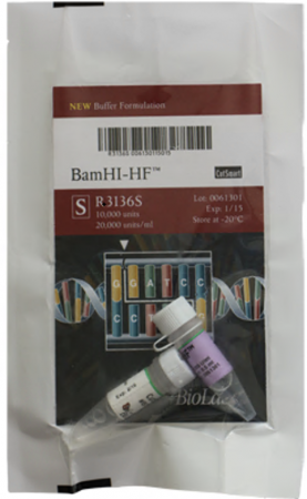 ДНК МОДИФИЦИРУЮЩИЙ ФЕРМЕНТ ЭНДОНУКЛЕАЗА РЕСТРИКЦИИ BAMHI-HF™, ВЫСОКОЙ КОНЦЕНТРАЦИИ (100 000 Е.А./МЛ, 50 000 Е.А.), АРТ. R3136 M, NEW ENGLAND BIOLABS