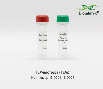 TEV-ПРОТЕАЗА (TEVP)
