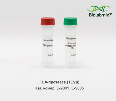 TEV-ПРОТЕАЗА (TEVP)