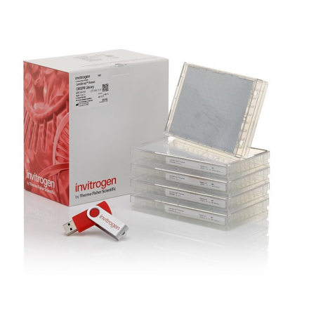 ПОЛОЖИТЕЛЬНЫЙ КОНТРОЛЬ SILENCER™ GAPDH МИРНК (ЧЕЛОВЕК, МЫШЬ, КРЫСА), 5 X 40 НМОЛЬ, АРТ. AM4632, INVITROGEN