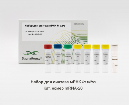 НАБОР ДЛЯ СИНТЕЗА МРНК IN VITRO , 20 РЕАКЦИЙ