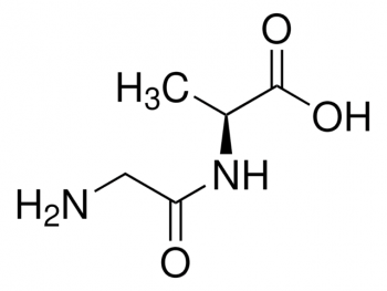 ГЛИЦИЛ-L-АЛАНИН (1Г) /GLYCYL-L-ALANINE