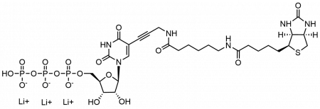 БИОТИН-11-UTP, 250 NMOL, 2716-250NMOL