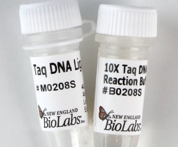 ДНК МОДИФИЦИРУЮЩИЙ ФЕРМЕНТ TAQ ДНК-ЛИГАЗА (40 000 Е.А./МЛ, 2 000 Е.А.), АРТ. M0208 S, NEW ENGLAND BIOLABS