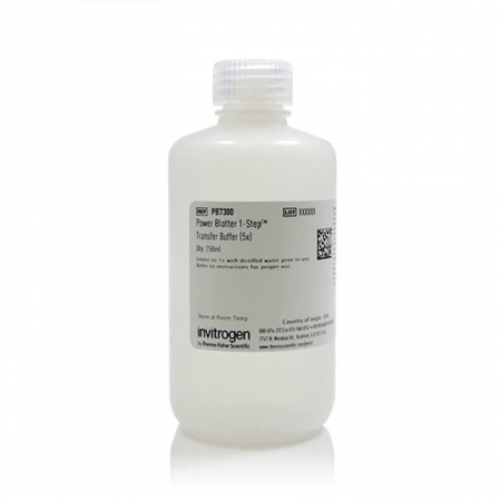 БУФЕР ДЛЯ ПЕРЕНОСА БЕЛКОВ POWER BLOTTER 1-STEP™ (5X), 1 Л, АРТ. PB7300, THERMO FISHER SCIENTIFIC