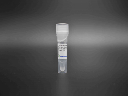 СМЕСЬ DNTP, КОНЦЕНТРАЦИЯ КАЖДОГО НУКЛЕОТИДА 10 ММ, 0,5 МЛ, АРТ. D0056, GENSCRIPT