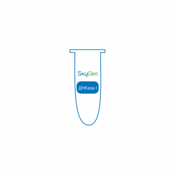 ФЕРМЕНТ ДНКАЗА I (1500 U), АРТ. EDC411, SKYGEN