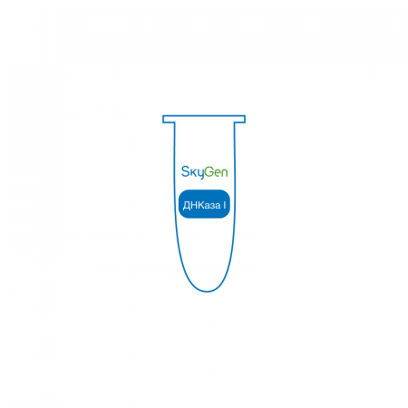 ФЕРМЕНТ ДНКАЗА I (1500 U), АРТ. EDC411, SKYGEN